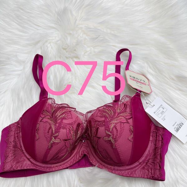トリンプ 天使のブラ(R) スリムライン584 ブラジャー レッド C75