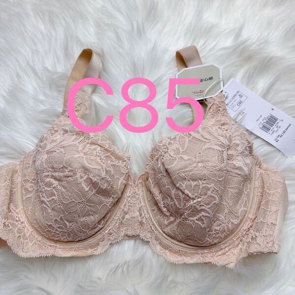 トリンプ トリンプストーリー 477 フルカップブラジャー ベージュ C85