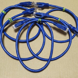 AMPCOM cat6 LANケーブル 50cm 0.5m 5本セット ブルー