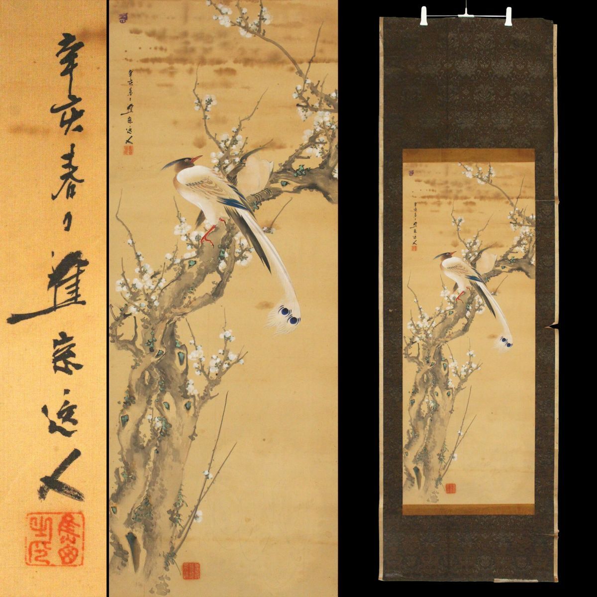 2025年最新】Yahoo!オークション -掛け軸 花鳥画(日本画)の中古