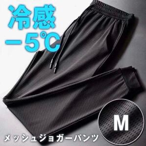 接触冷感 メッシュパンツ 熱中症対策 −5℃ ジョガーパンツ 冷感パンツ 通気性 アイスシルク ストレッチ Mサイズ 男女兼用 ユニセックス