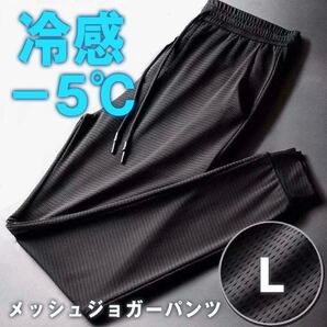 接触冷感 メッシュパンツ 熱中症対策 −5℃ ジョガーパンツ 冷感パンツ 通気性 アイスシルク ストレッチ Lサイズ 男女兼用 ユニセックス
