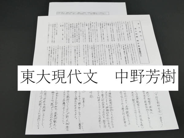 駿台 東大現代文 中野芳樹先生 過去問題解答集(簡易解説付き)おまけ2017と2018 客観的速読のための読解法一覧鉄緑会 河合塾 東進