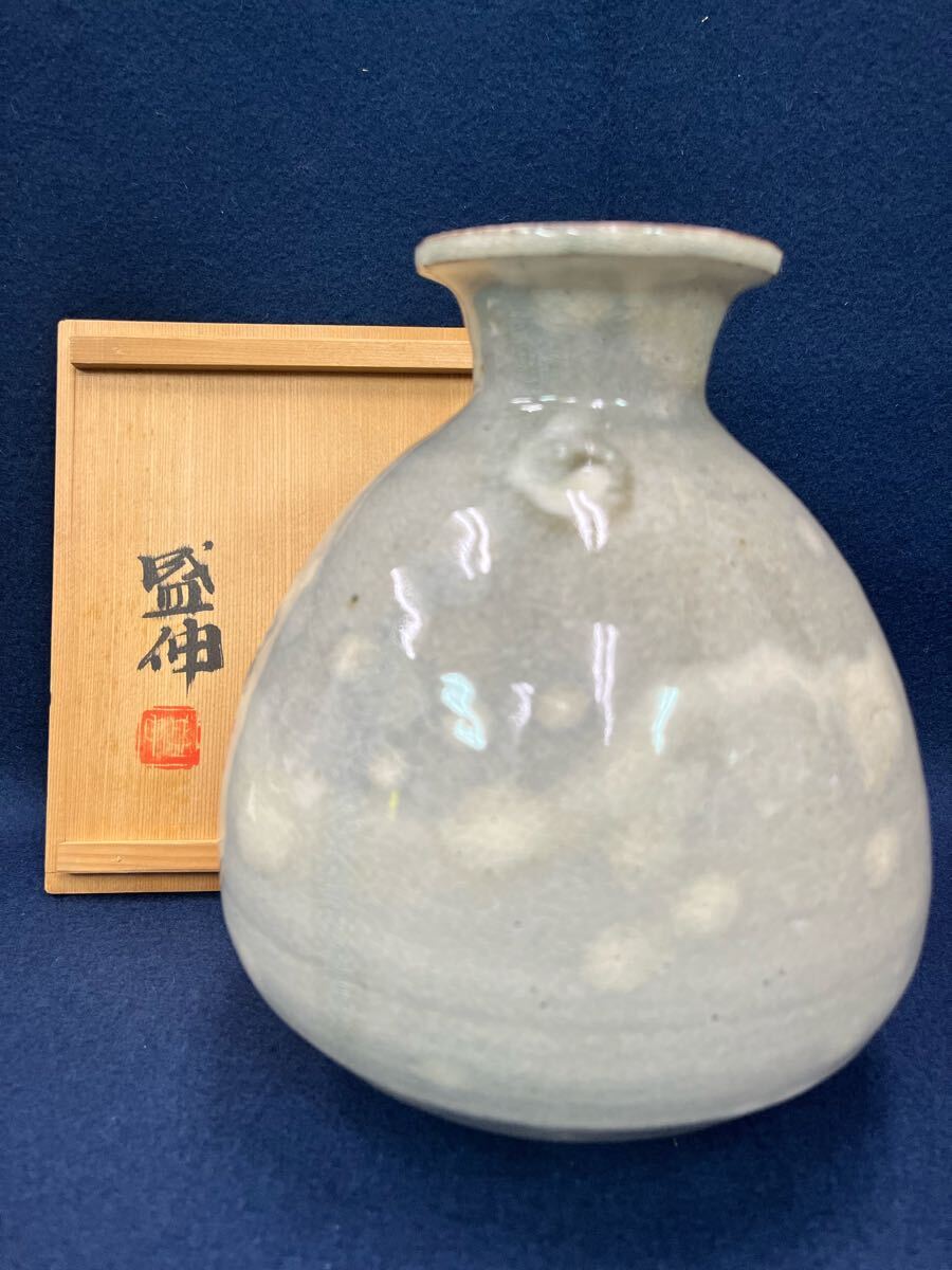 楽天市場】木村盛伸の通販