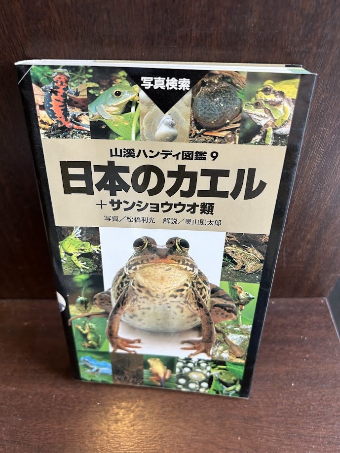 2025年最新】Yahoo!オークション -日本カエル図鑑の中古品・新品