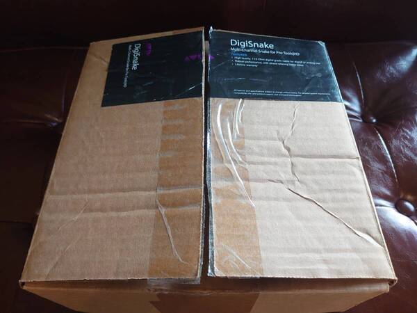 AVID (アビッド) 25ピンDsub/Dsubアナログケーブル DB25-DB25 DigiSnake 12'(3.6m)
