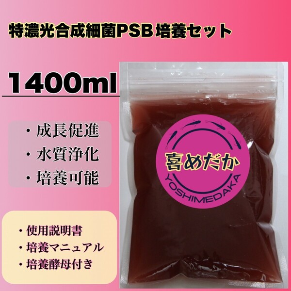 ★培養セット★特濃光合成細菌PSB1400ml 喜めだか バクテリア メダカ めだか 卵 金魚 稚魚 針子 ゾウリムシ クロレラ ミジンコ 熱帯魚
