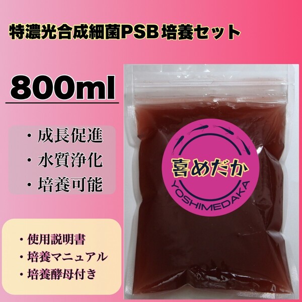 ★培養セット★特濃光合成細菌PSB800ml 喜めだか バクテリア メダカ めだか 卵 金魚 稚魚 針子 ゾウリムシ クロレラ ミジンコ 熱帯魚