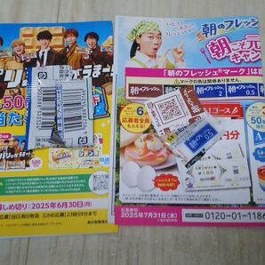 懸賞 キャンペーン 応募 チョコモナカジャンボ バーコード2枚、伊藤ハム 朝のフレッシュ 応募マーク2点分 ハガキ各5枚