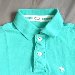 「Abercronbie&Fitch ポロシャツ」USED-1
