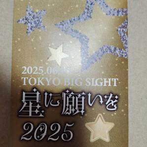 【匿名配送】 【送料無料】 6/15 星に願いを2025 day1 サークルチケット 赤ブー サーチケ サクチケ 通行証 6月15日 【送料込】