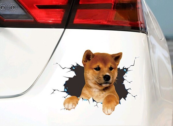 犬 ステッカー カーステッカー シール おもしろ 立体 車 新品 ウォールステッカー 3D 可愛い 柴犬 飛び出す 未使用