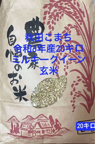 秋田こまち令和6年産20キロミルキークイーン玄米 農薬無し 自然農法