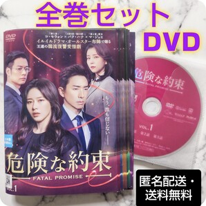 パク・ハナ★コ・セウォン★マ・ジュヒ『危険な約束』レンタル落ちDVD★全巻★韓国ドラマ