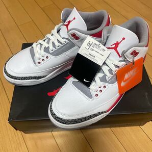 NIKE AIR JORDAN 3 RETRO ナイキエアジョーダン3 DN3707-160 28センチ 未使用品
