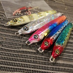 オーシャンルーラー ガンガンジグ 20g x2, 30g x3, 5個セット