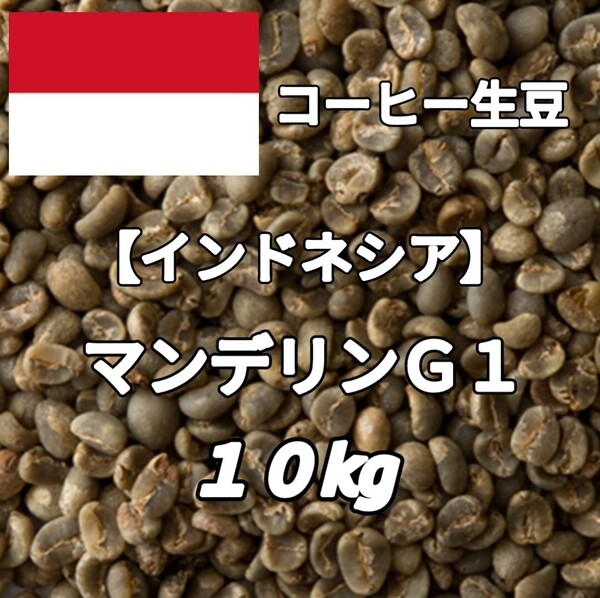 【インドネシア】マンデリン G1 コーヒー生豆 10kg(コーヒー生豆 自家焙煎 コーヒー豆 コーヒー 珈琲)