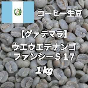 【グァテマラ】ウエウエテナンゴ・ファンシーS17 コーヒー生豆1kg(コーヒー生豆 自家焙煎 コーヒー豆 コーヒー 珈琲)