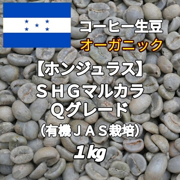 【ホンジュラス】SHGマルカラ Qグレード コーヒー生豆1kg(コーヒー生豆 自家焙煎 コーヒー豆 コーヒー 珈琲)