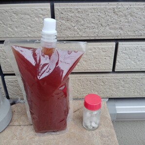 PSB 光合成細菌 250ml 培養酵母錠 エビオス20錠 a