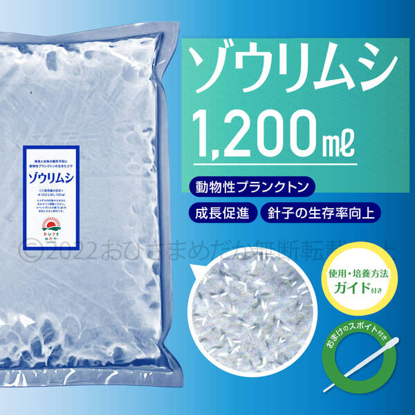 【ゾウリムシ 種水 増量 1200ml】めだか メダカ 針子 エサ 稚魚 psb 金魚 ミジンコ クロレラ ゾウリムシ 培養におすすめ