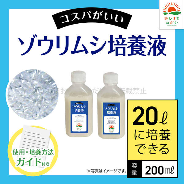 高コスパ【ゾウリムシ培養液 200ml 20L培養分 送料無料】メダカ めだか 金魚 ミジンコ ミドリムシ クロレラ 針子 PSB 培養に