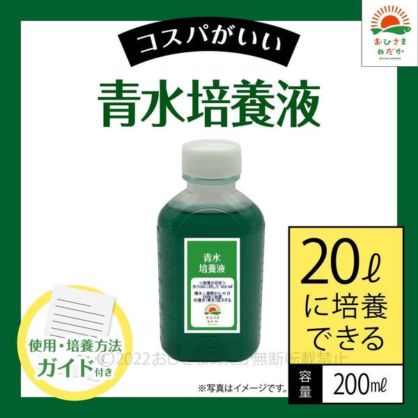 かんたん【青水グリーンウォーター培養液(200ml)20L培養分】メダカめだか金魚錦鯉らんちゅうミジンコゾウリムシクロレラPSBなど利用