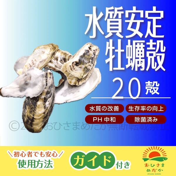 水質浄化【牡蠣殻(カキ殻) 20殻】ろ材 めだか バクテリア金魚PSB 錦鯉 金魚クロレラ メダカ餌 ミドリムシ ゾウリムシ にどうぞ