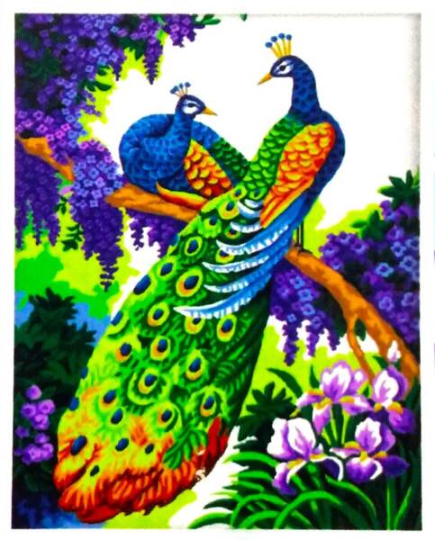 ダイヤモンドアート キット【DiamondMosaic】Peacocks on a branch 孔雀 30х40cm DM-300 未使用