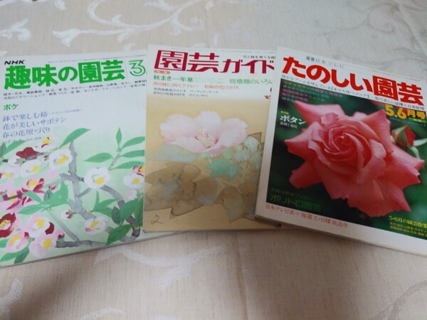 雑誌【趣味の園芸 1982年3月号/園芸ガイド 1982年9月号/たのしい園芸 1981年5,6月号】ガーデニング 一年草 アイビー 柑橘類 NHK 日本テレビ