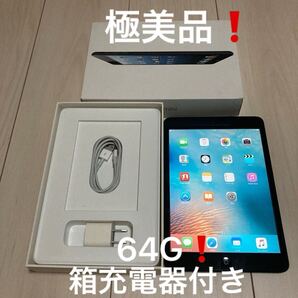 【極美品】箱充電器付き Apple iPad mini 64G Wi-Fi