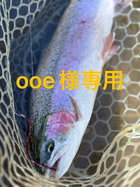 【専用品】管釣り エリアトラウト 海鱒スパイラルPro10本、trigger4本