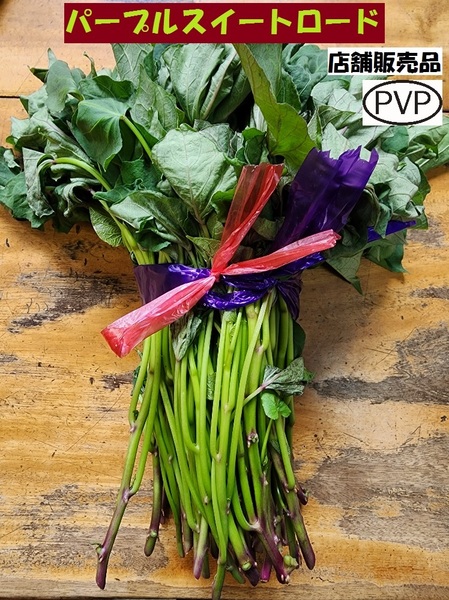 訳あり パープル スイート ロード 切 苗 300 本 入り 束 PVP 紫 芋 ● 正規 登録 品種 土壌消毒 サツマイモ なえ むらさき さつまいも