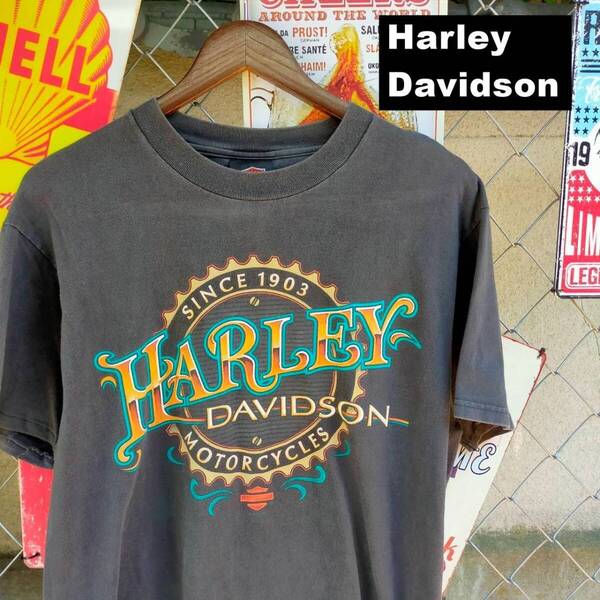 Harley-Davidson ハーレーダビッドソン USA製 Tシャツ Mサイズ グリーンビル 両面プリント 黒 ブラック 10700