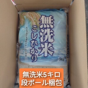 茨城県産コシヒカリ無洗米5キロ(箱発送)