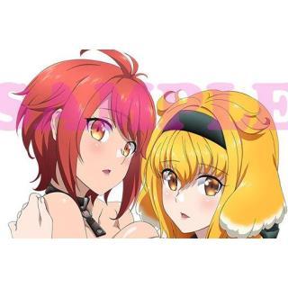 異世界迷宮でハーレムを　10巻アニメイト限定アクリルプレート未開封 Amazon.co.jp: 異世界迷宮でハーレムを 10巻 アニメイト限定