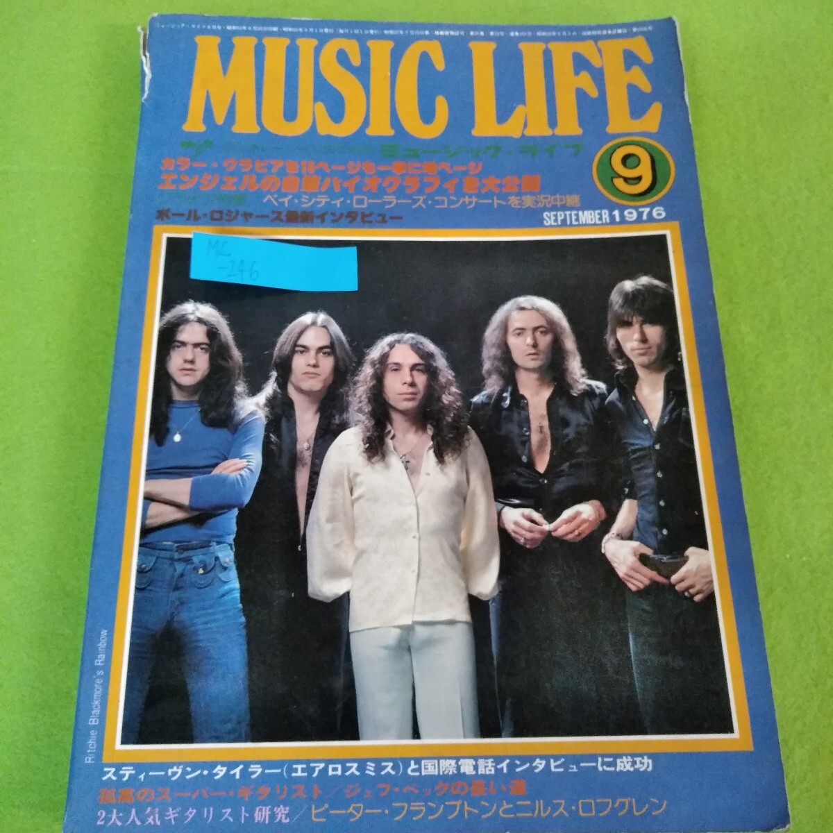 2025年最新】Yahoo!オークション -ミュージックライフ 1976の