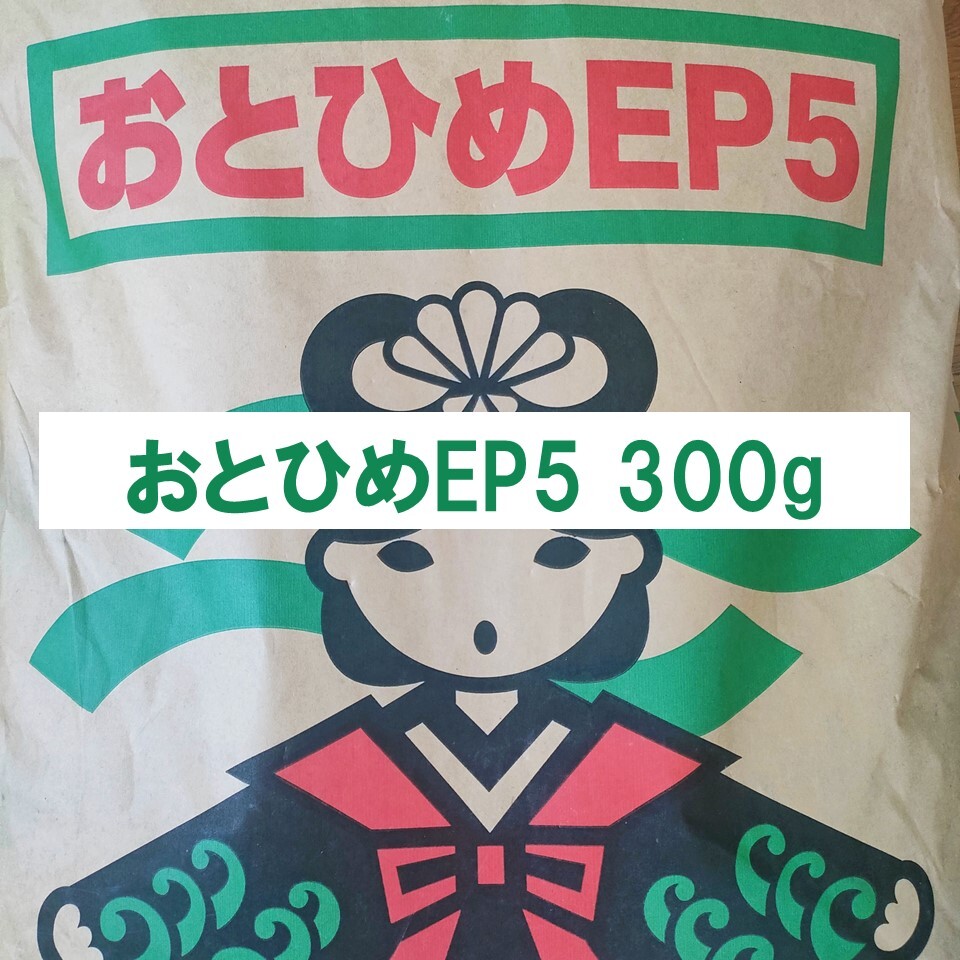 おとひめEP5 沈下性 10kg(1kg×10)　エイ エンドリ ダトニオ 2025年最新】Yahoo!オークション -おとひめep5の中古品・新品