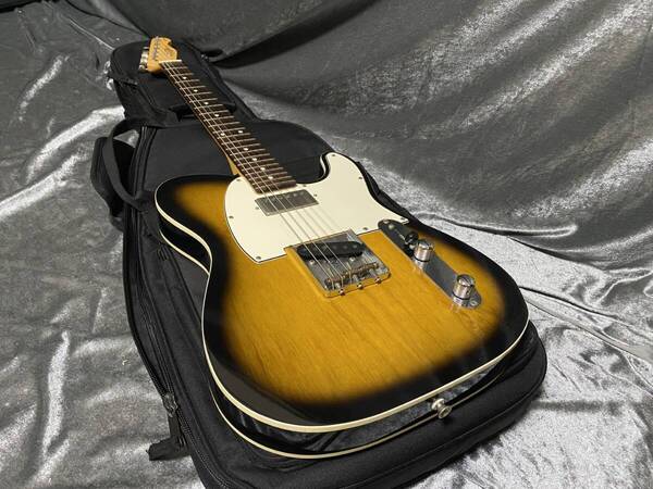 FUJIGEN FGN NTL200 Seymour Duncanピックアップ搭載 純国産の本格モデル 送料無料