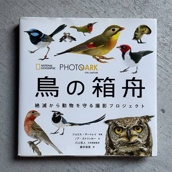 PHOTO ARK 鳥の箱舟 絶滅から動物を守る撮影プロジェクト / ジョエル・サートレイ / ナショナルジオグラフィック