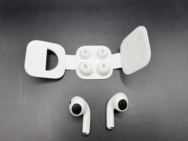 Apple AirPods Pro MWP22J/A イヤホン ジャンク