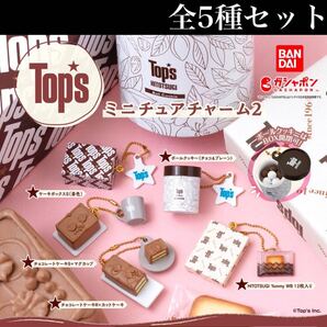 ■送料無料■ Tops ミニチュアチャーム2 全5種セット /トップス/HITOTSUGI/第2弾/チョコレートケーキ/フィギュア/コレクション/ガチャ