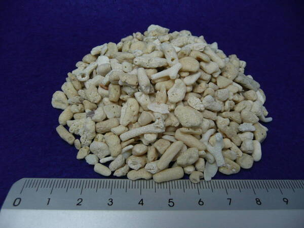新品★天然サンゴ砂♯10(約10mm)中目20kg<底砂・ろ材用>