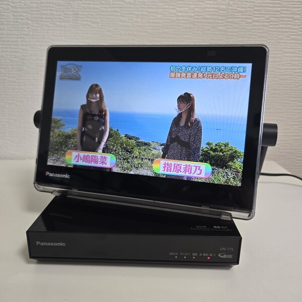 Panasonic パナソニック UN-10T7D/UN-T7S プライベートビエラ ポータブルテレビ