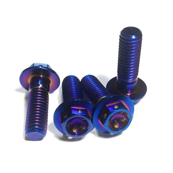 チタン ブレーキキャリパー フランジボルト キャリパーマウントボルト M8 25mm NSR250R MC21 MC28 RVF400 RVF750 VFR750R CBR900RR