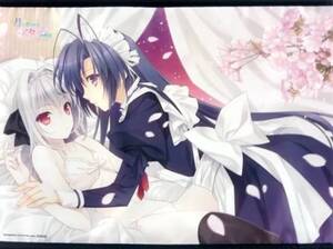 PS Vita 月に寄りそう乙女の作法 ~ひだまりの日々~ ソフマップ購入特典 小倉朝日&桜小路ルナ B2タペストリー