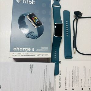 ジャンク? Fitbit charge5 本体充電器 フィットビット チャージ5 スマートウォッチ フィットネストラッカー