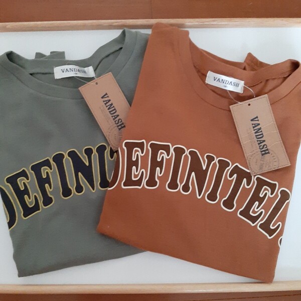 2枚セット【Lサイズ】新品タグ付き VANDASH しまむら 半袖Tシャツ ルームウェア レディース トップス ミセス ロゴ カーキ&茶系