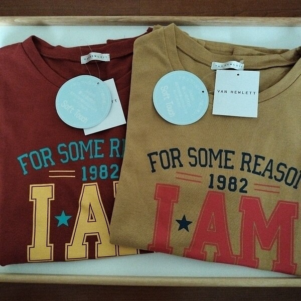 2枚セット【Mサイズ】新品タグ付き VAN HEWLETT 半袖Tシャツ ルームウェア レディース トップス ロゴ IAM 1982 からし色&赤系 送料無料