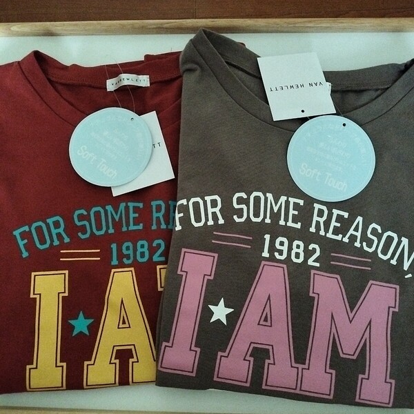 2枚セット【Mサイズ】新品タグ付き VAN HEWLETT 半袖Tシャツ ルームウェア レディース トップス ロゴ IAM 1982 グレー系&赤系 送料無料